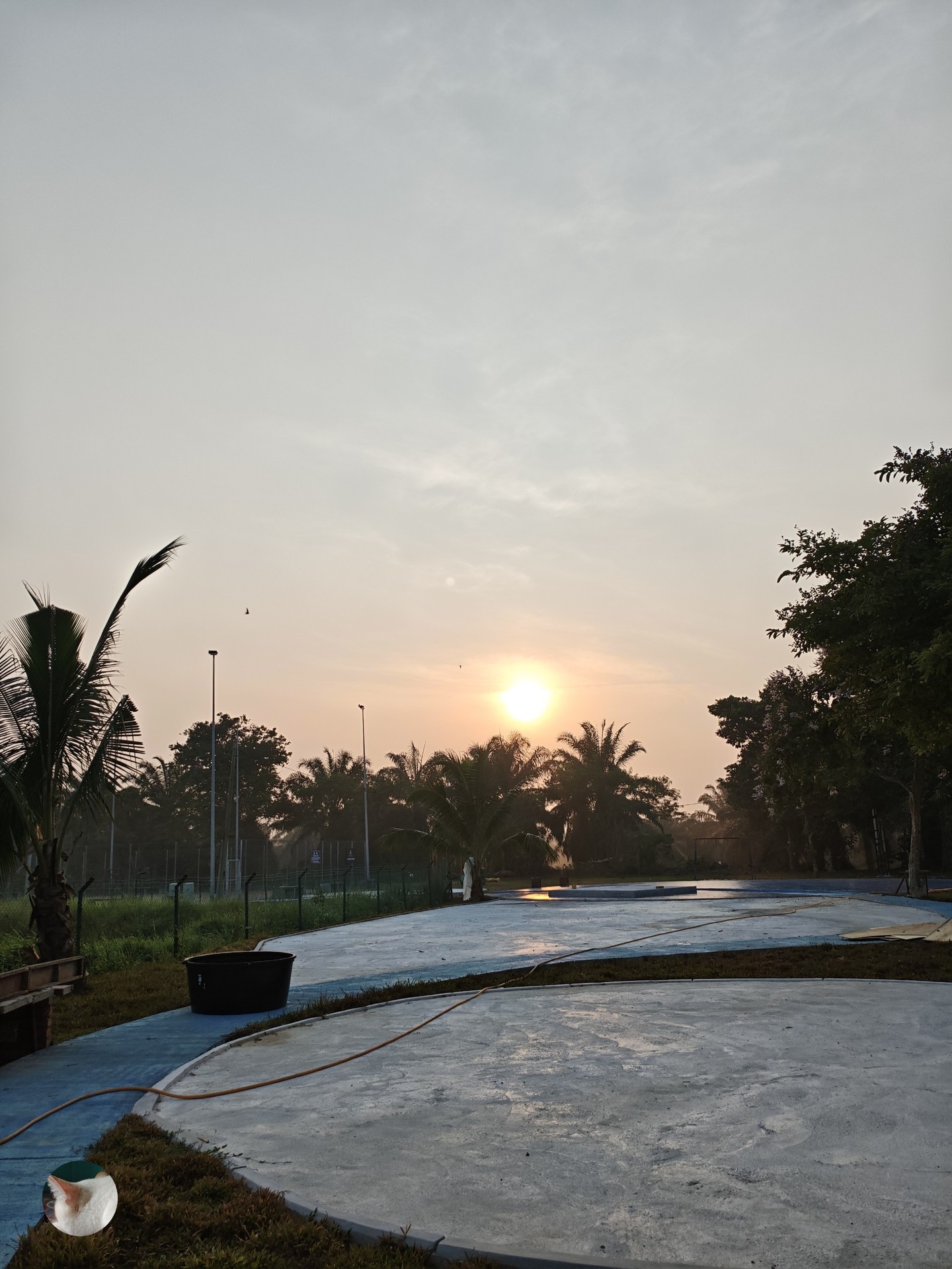 sfondi sunlight, dusk