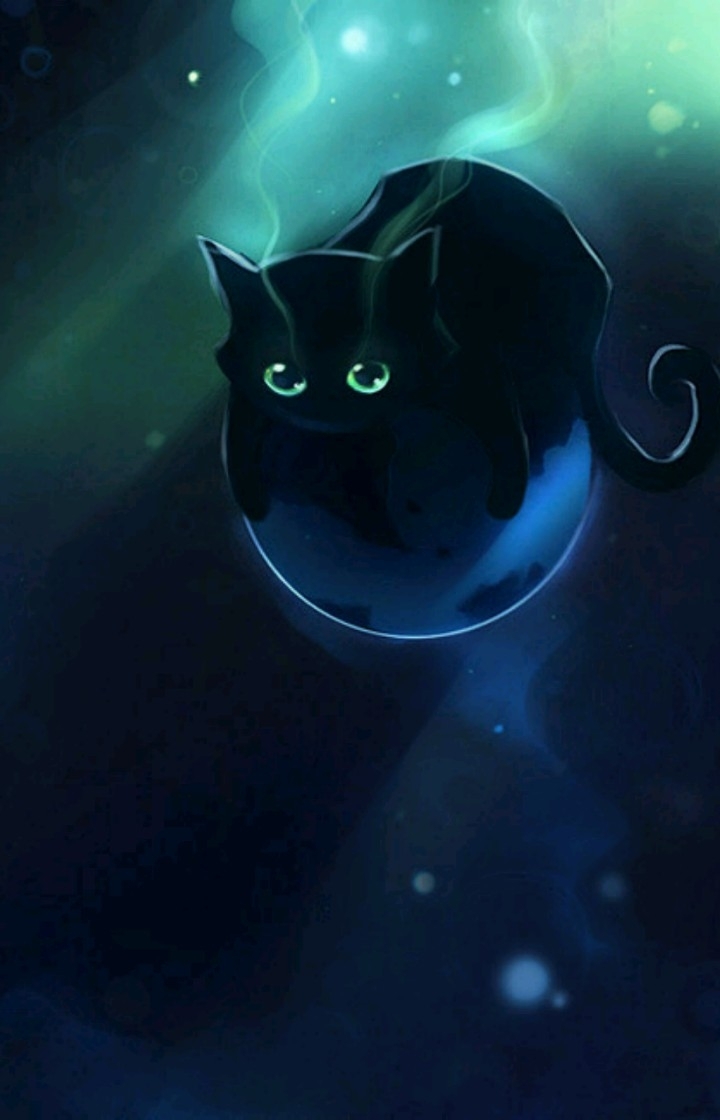 котик