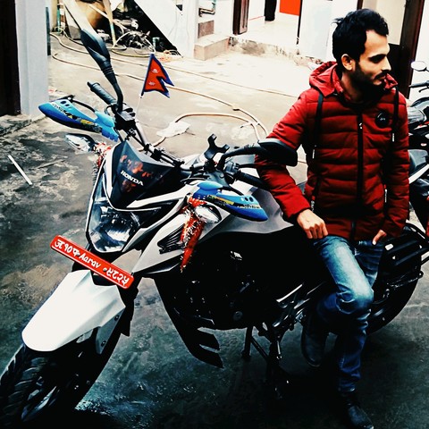 honda hornet