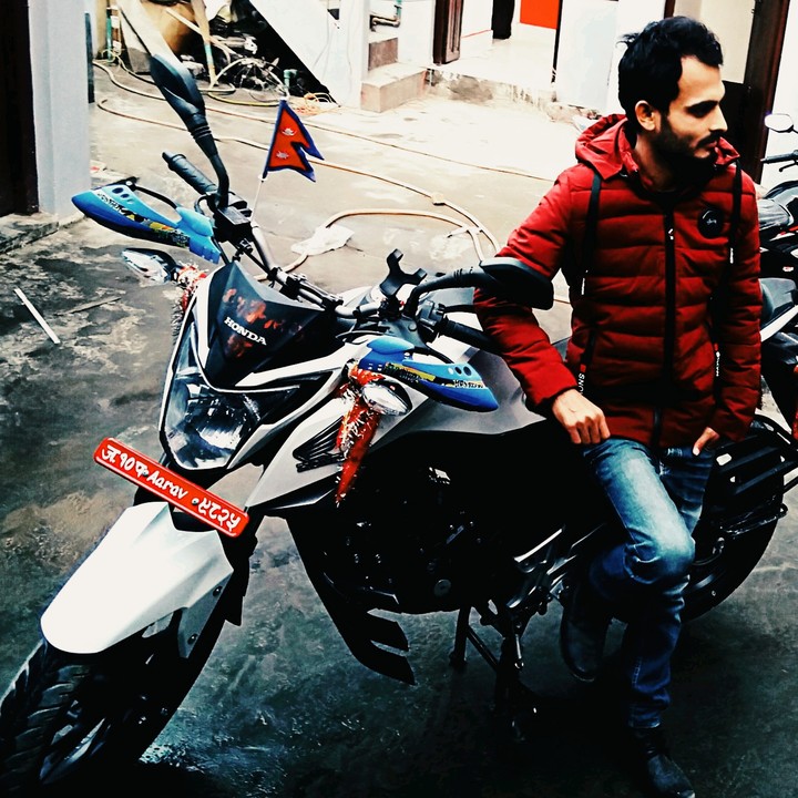 honda hornet