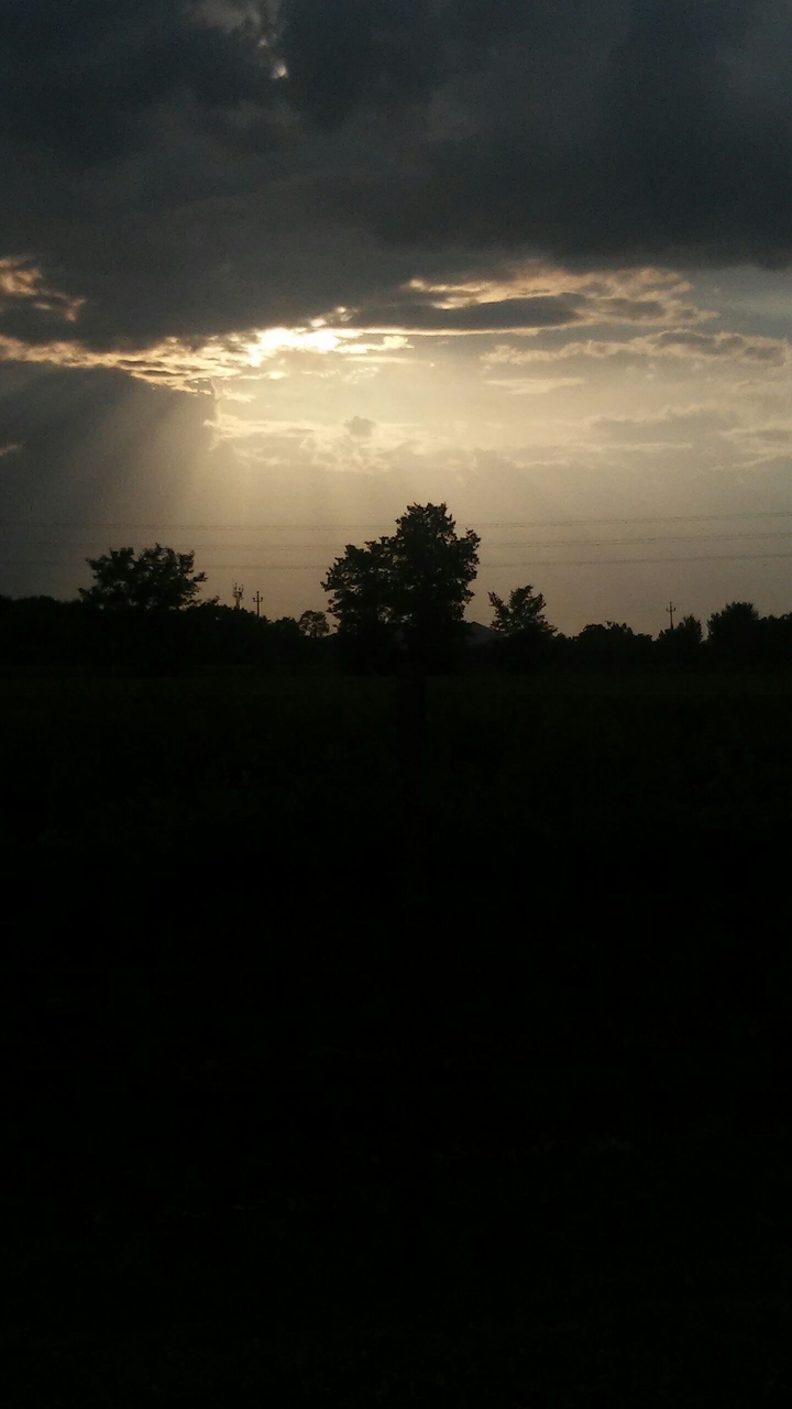 sun