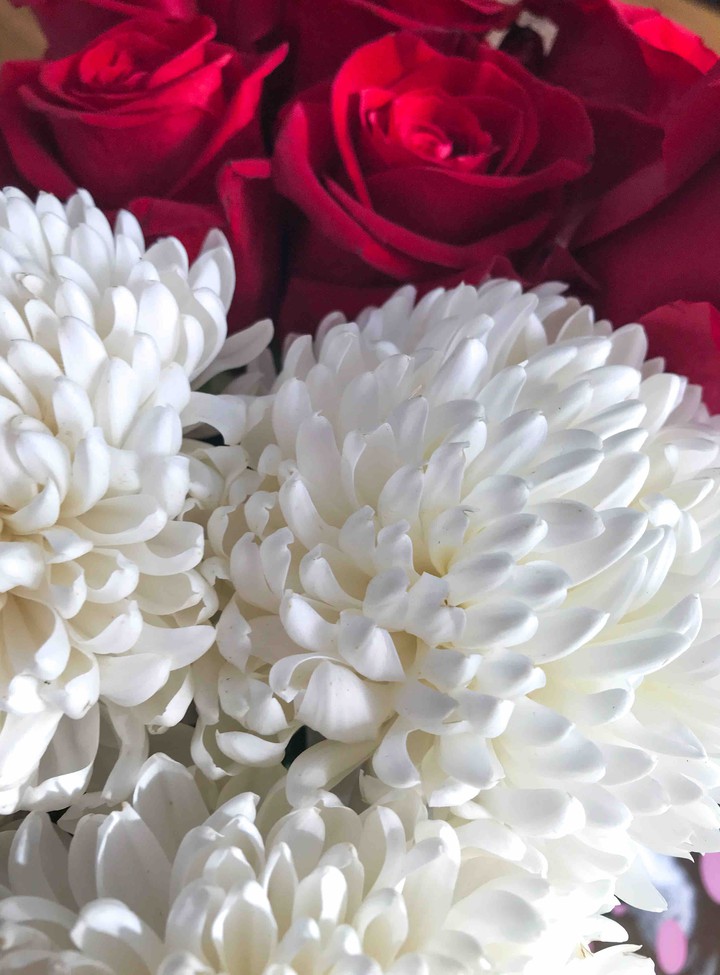 red&white