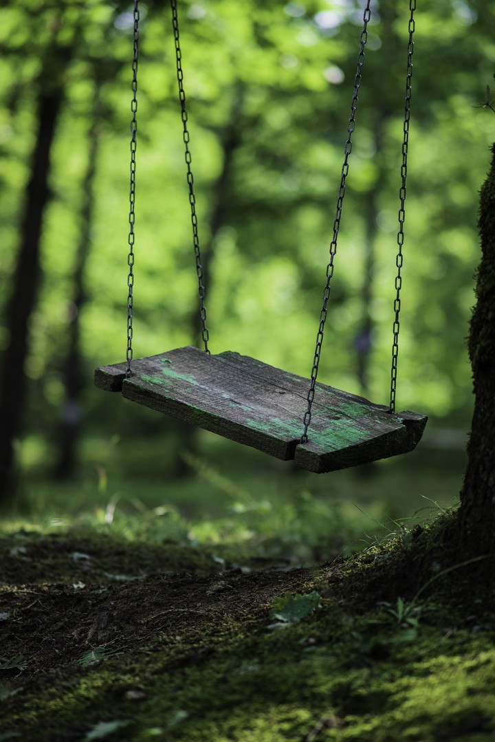 bench