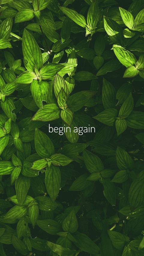 Begin Again
