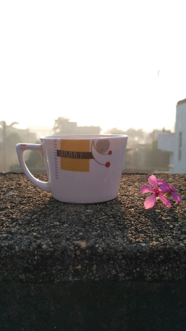 #cup #flower #sun