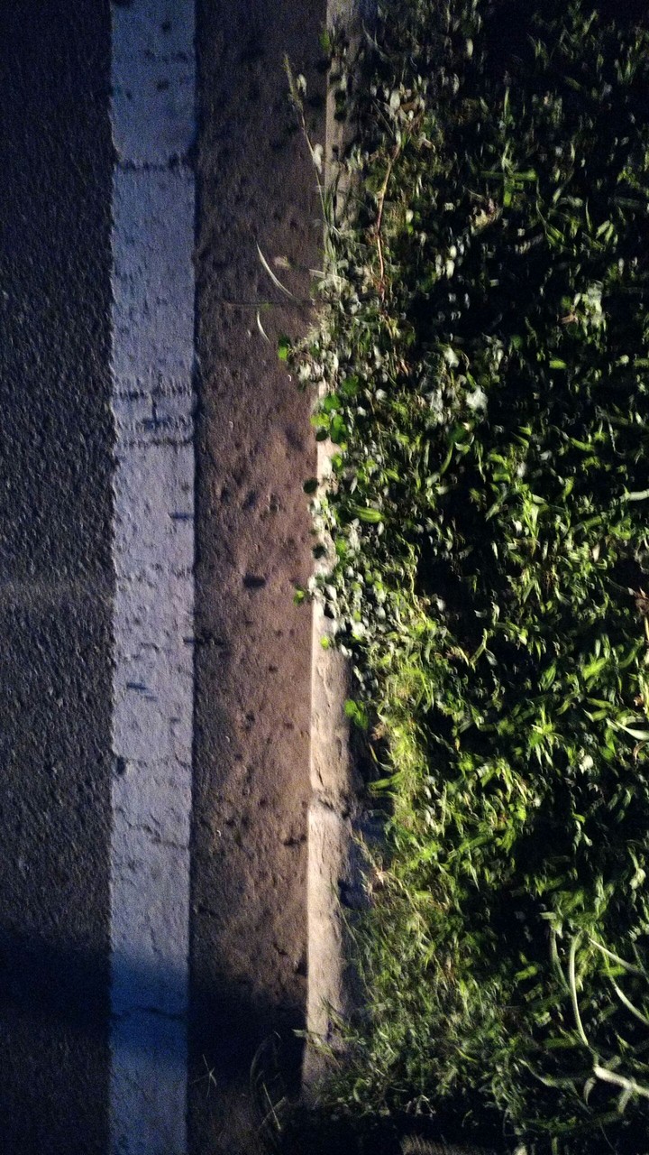 roadside
