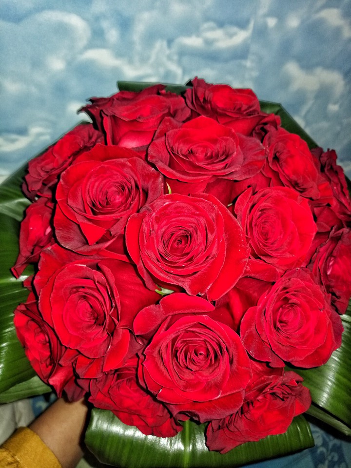 Roses