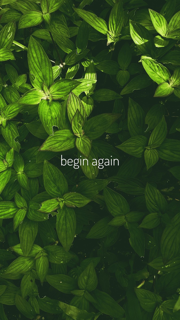 Begin Again