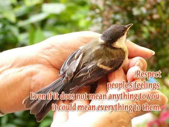 Respect peoples feeling