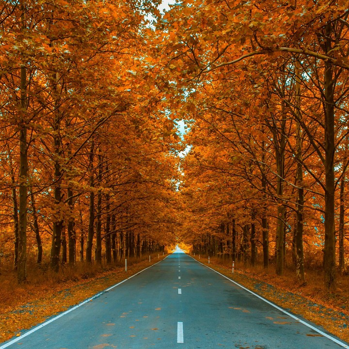 Autumn