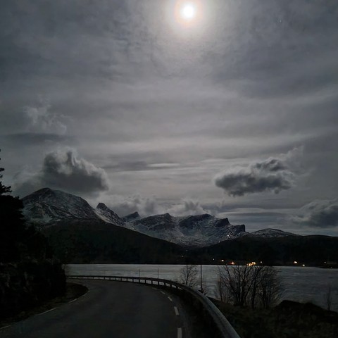 moonlight