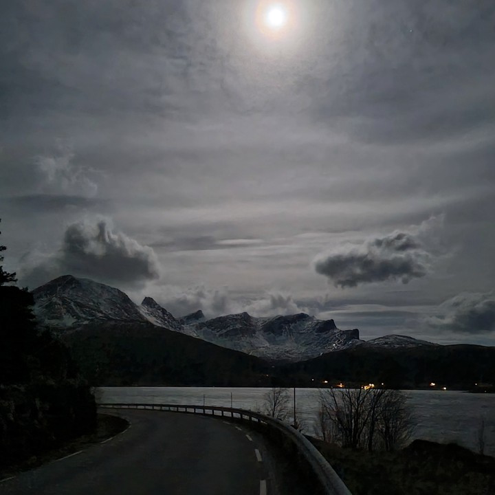 moonlight