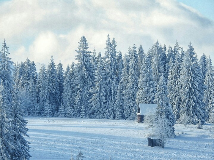 winter