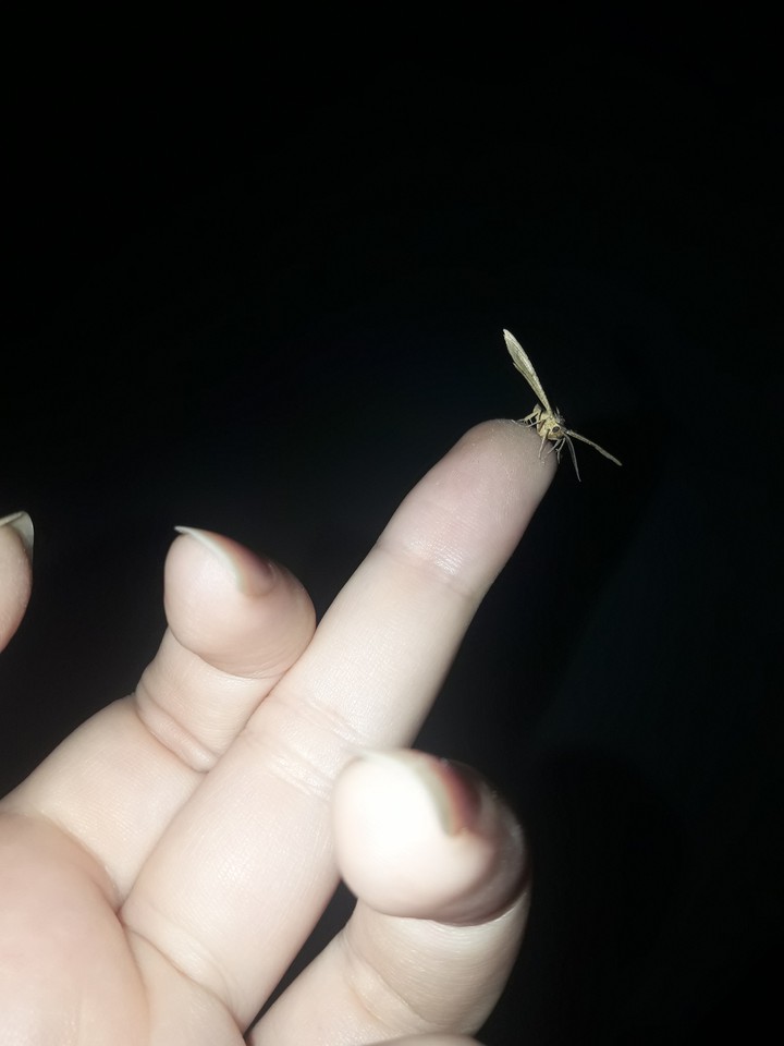 ??