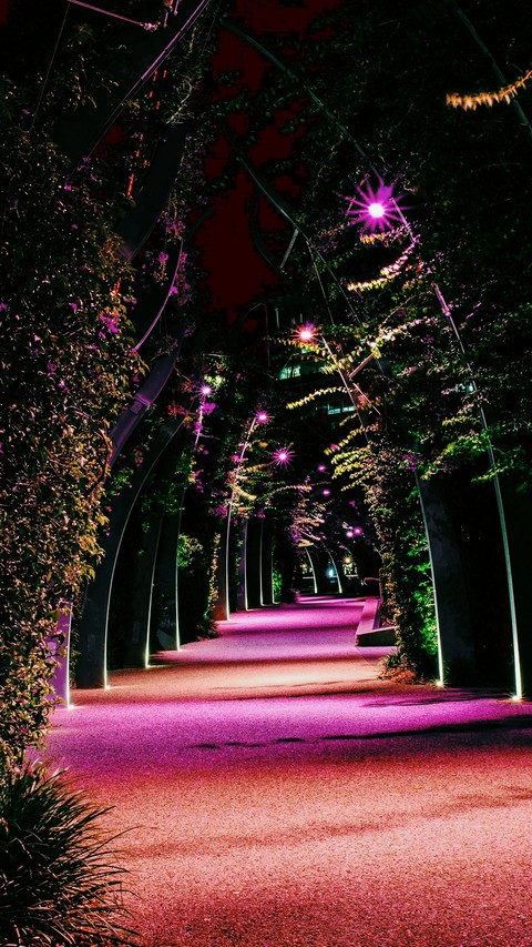 A pleasant Night