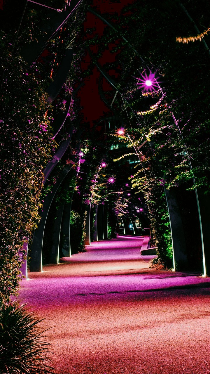 A pleasant Night
