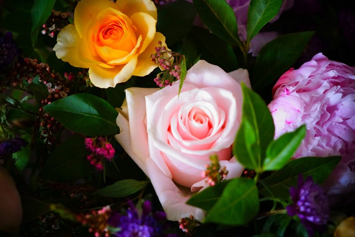 brilliant flower