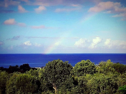 rainbow ????