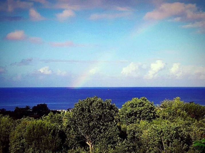 rainbow ????