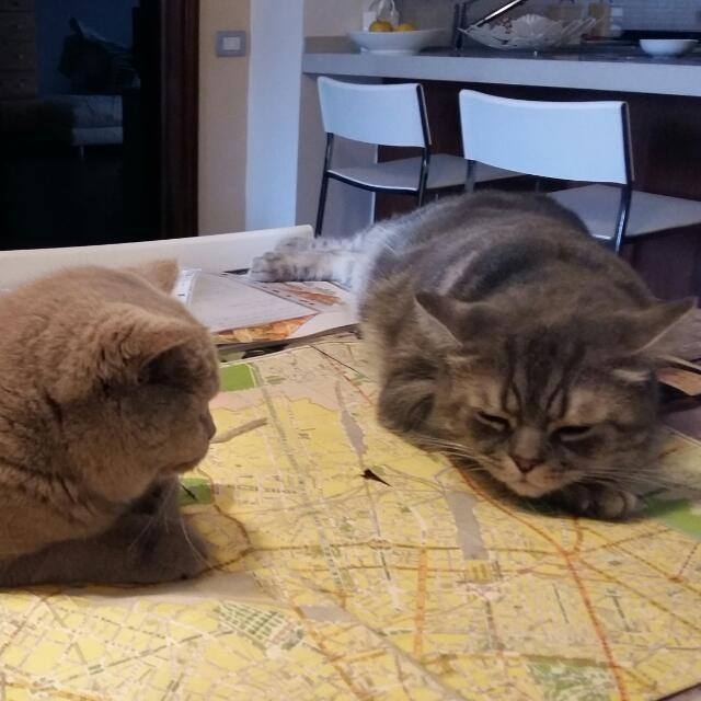 programma di viaggio