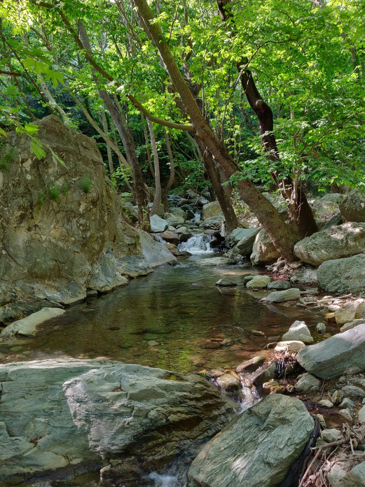 crystal river