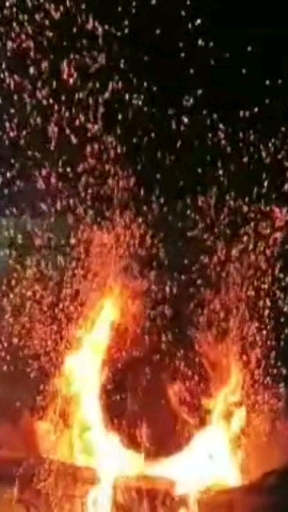 spark of life