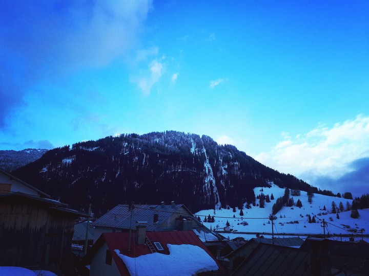 Ausblick