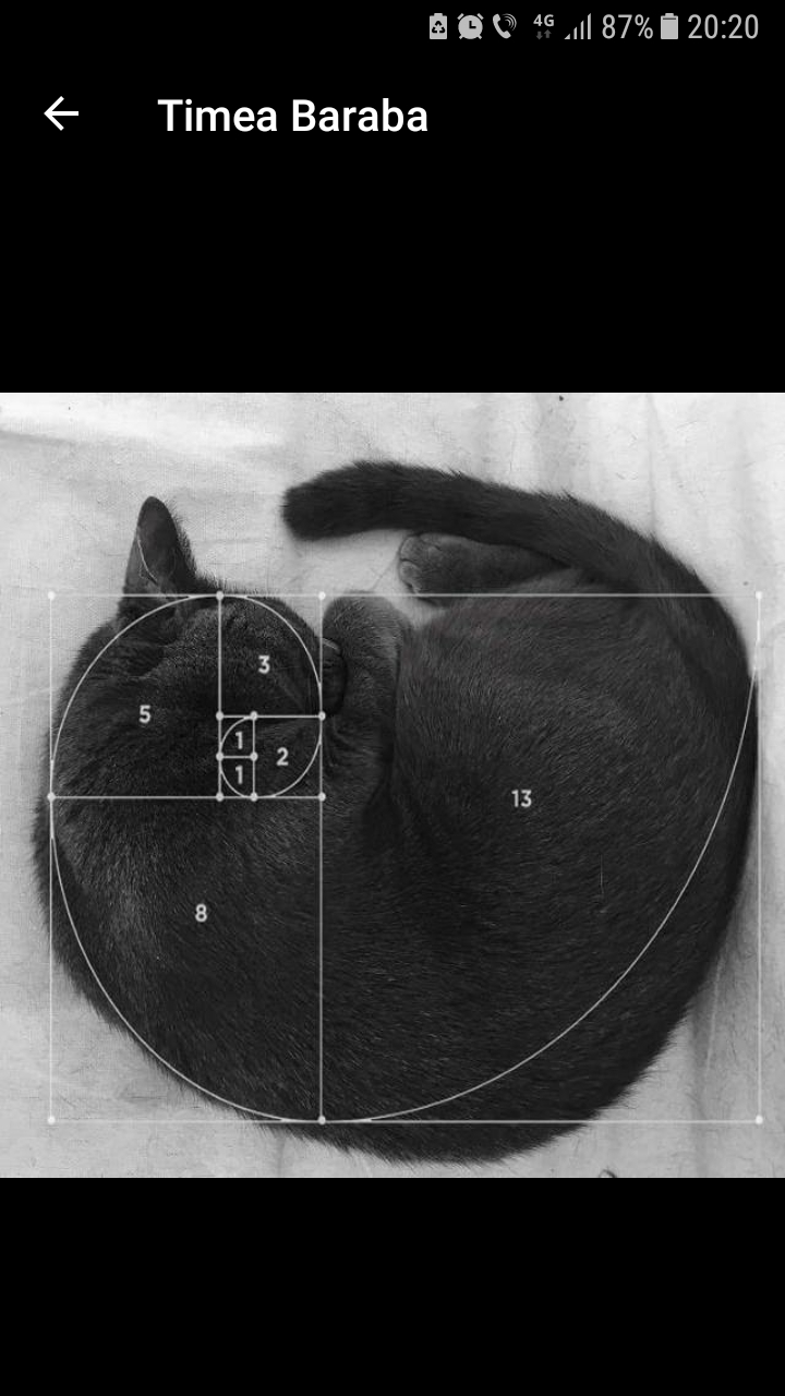 Fibonacci Sequence