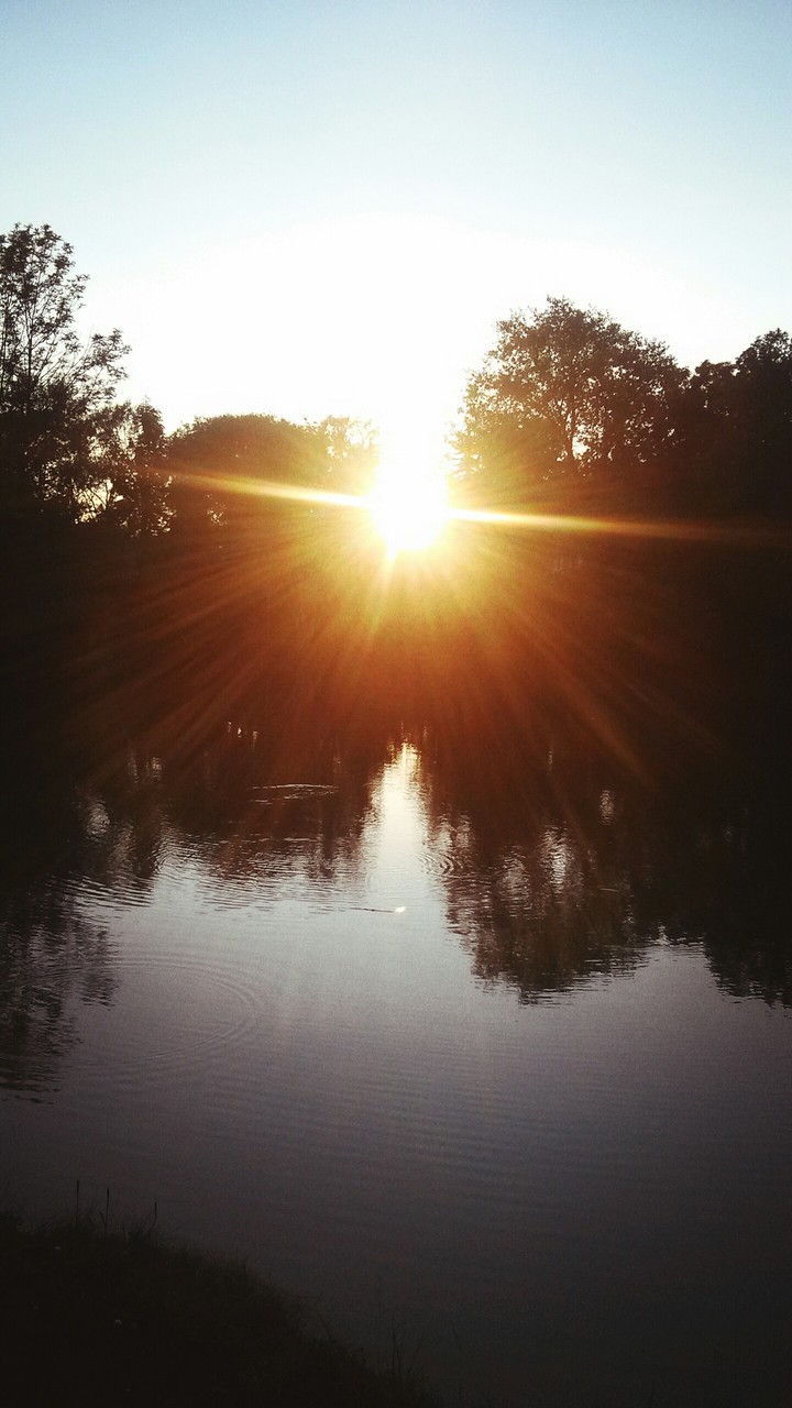 Sunshine