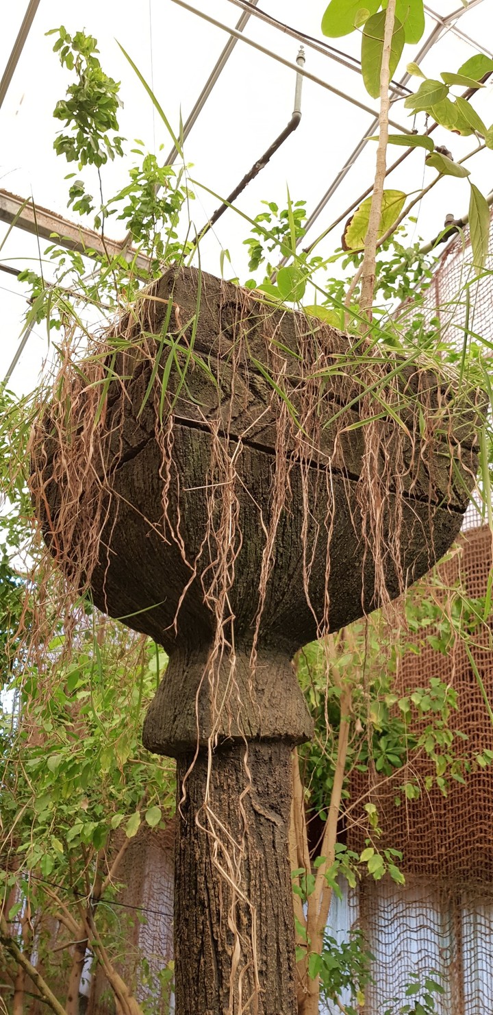 born and brought up in nature