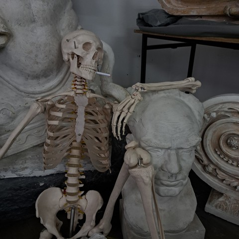 Art, bone háttérképek