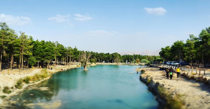 forest park zarghan