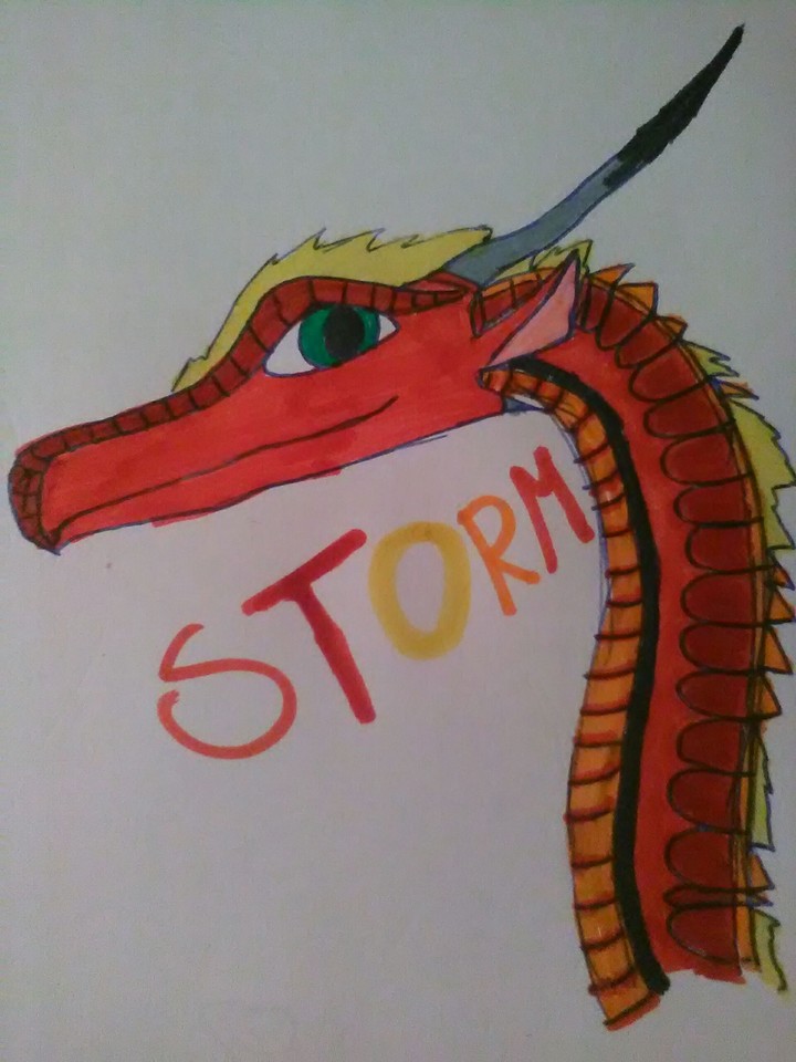 Storm the SkyWing redraw.(previous was ugly)
