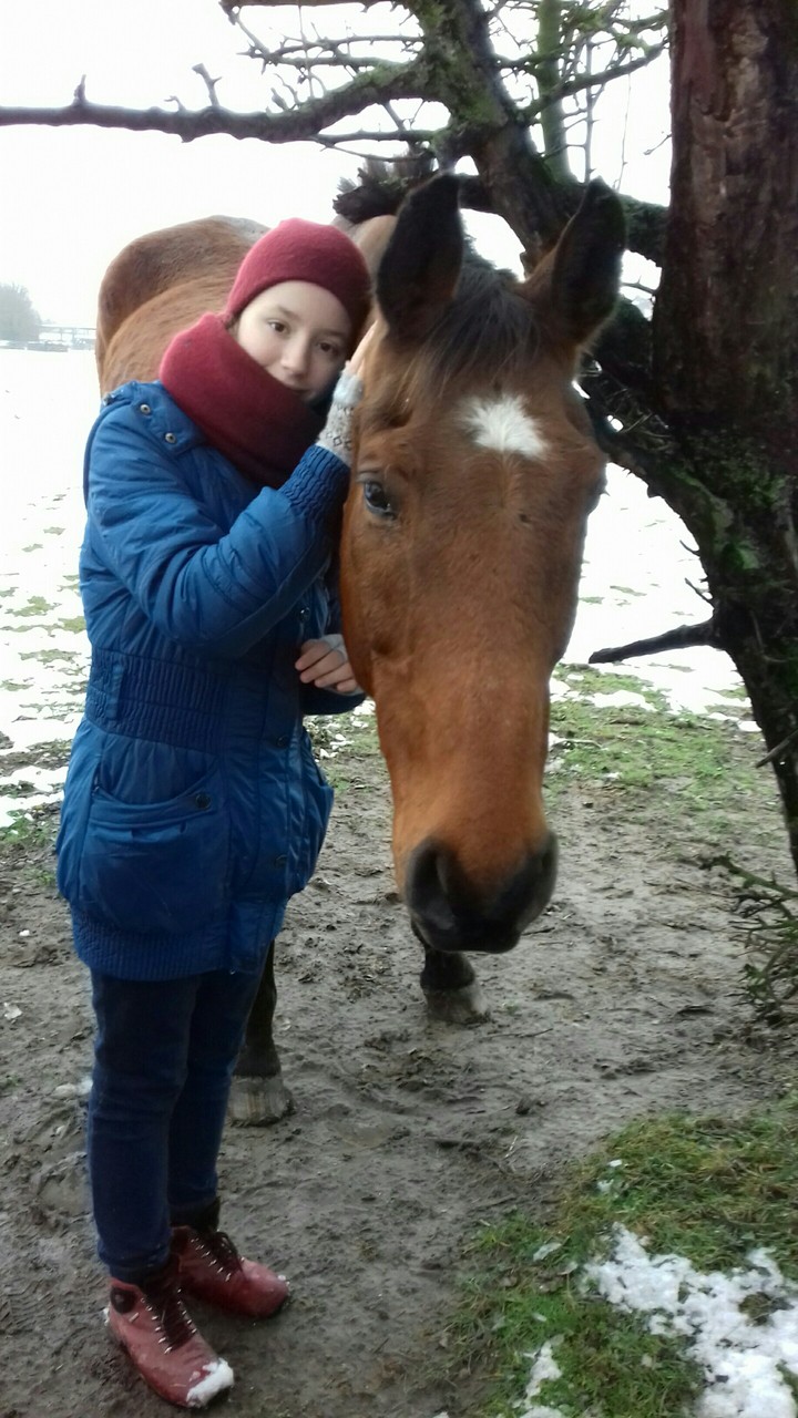 horse&I