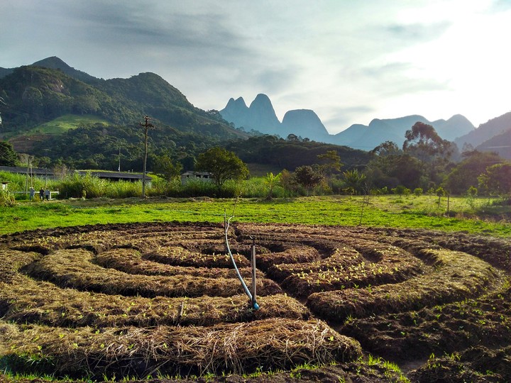 Agriculture