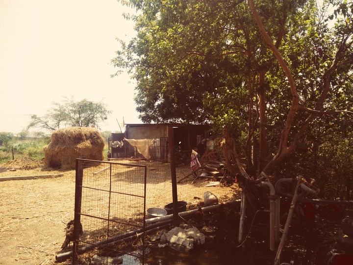farmhouse