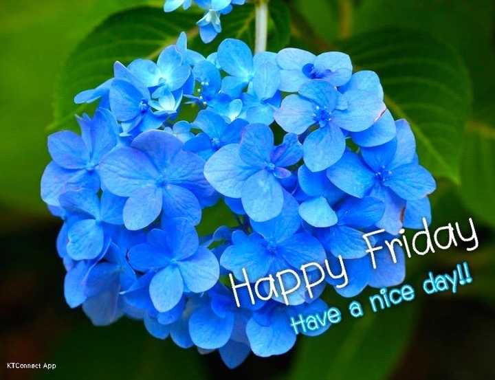 happy Friday