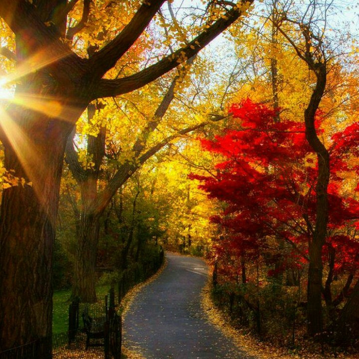 Sunshine.....