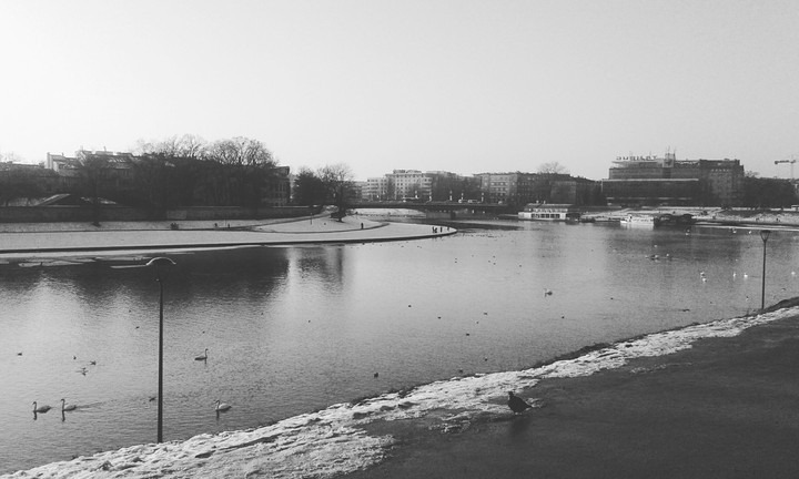 Polish City Cracov