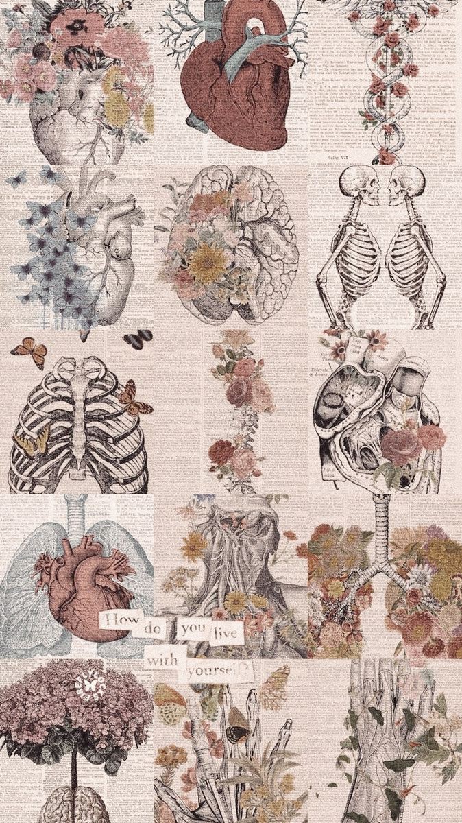 Hearts