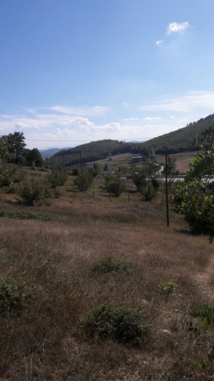 Samsun-Saraykent köyü