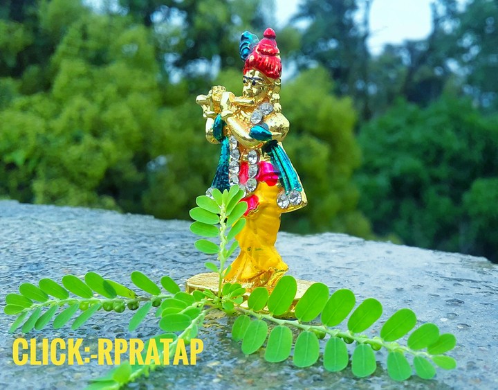 Jay shree krishna