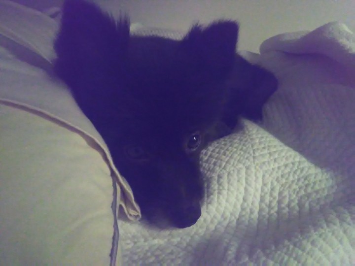 Precious going to bed