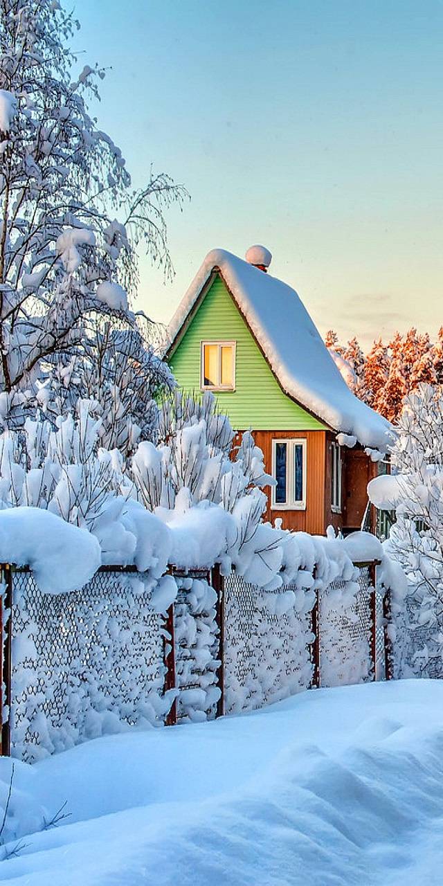 Winter time...❄️❄️❄️