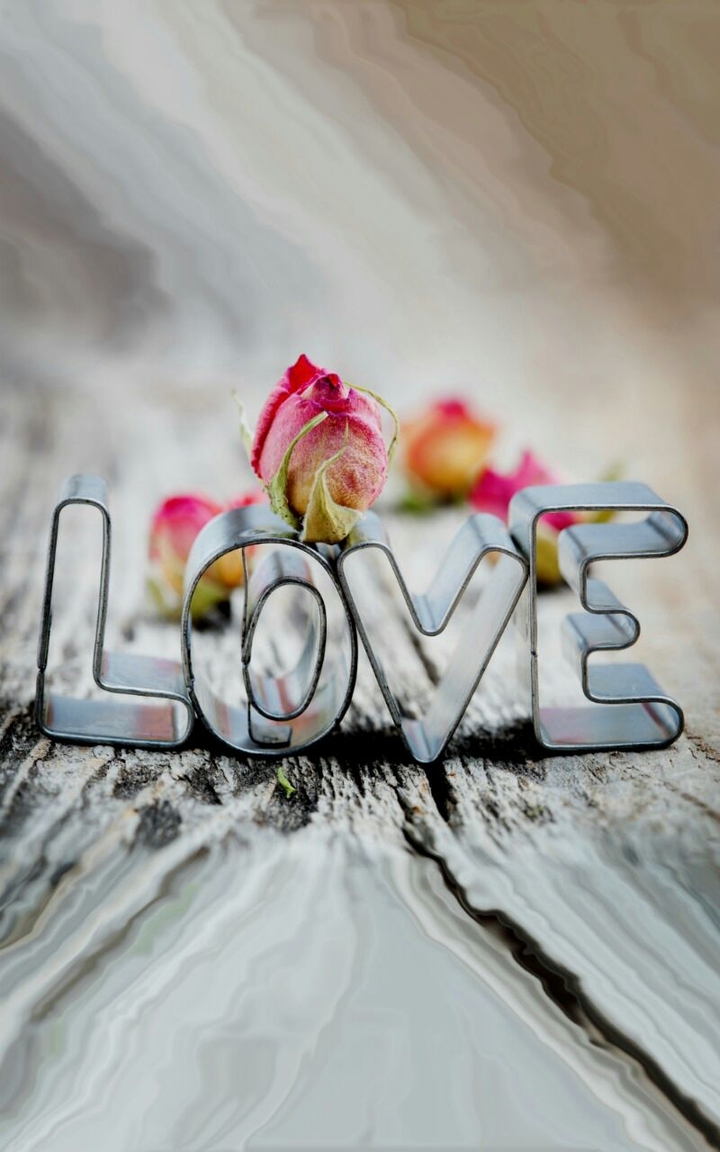 ❤Love❤