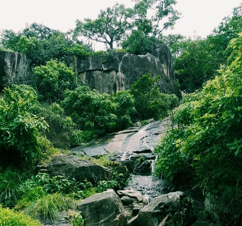 Life is a Stream