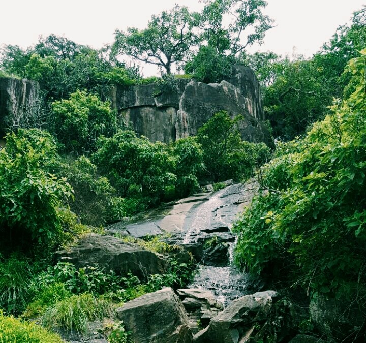 Life is a Stream