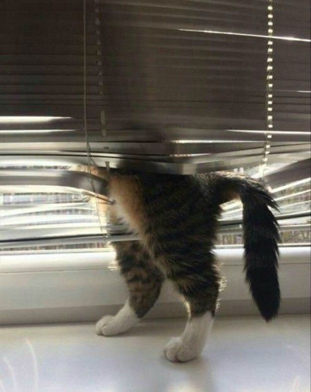 I'm not here