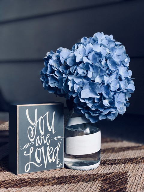 Blue Hydrangea