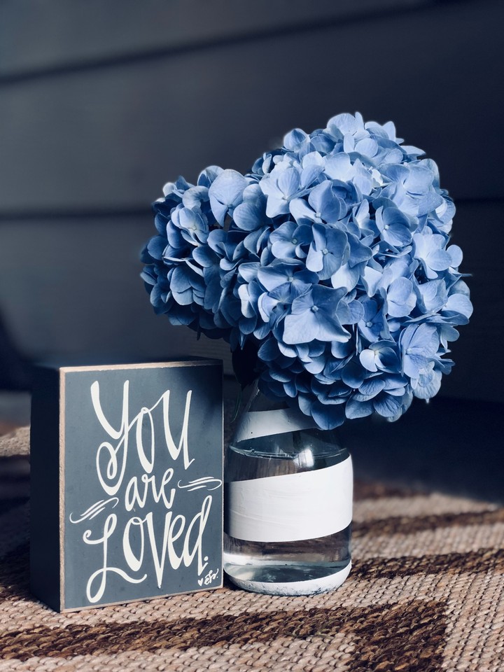 Blue Hydrangea